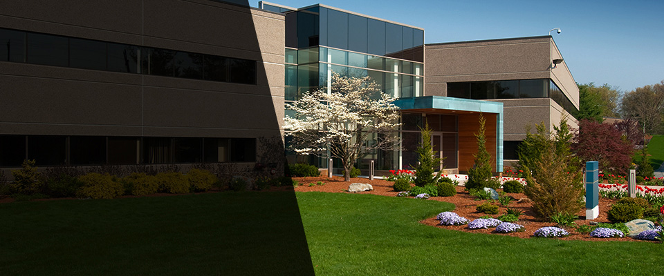 Santa Maria Landscapers