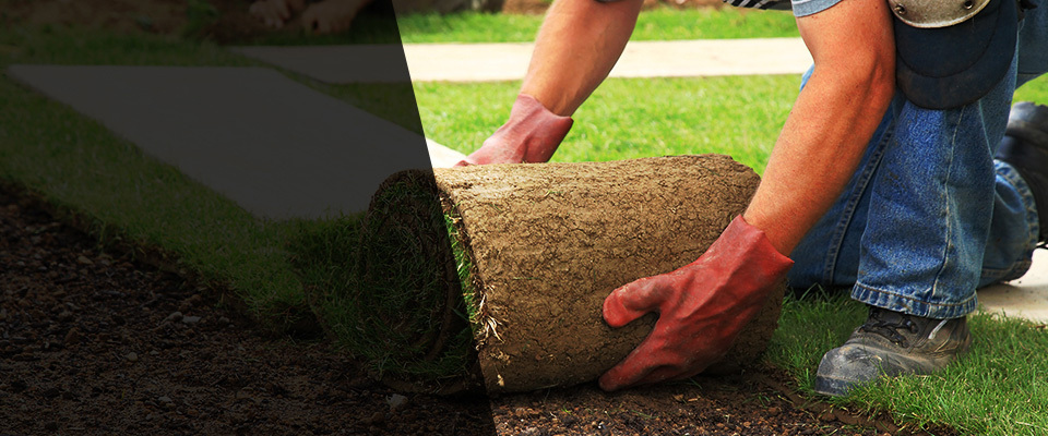 Santa Maria Landscapers